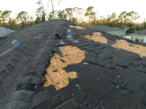 Best Roof Moss and Algae Removal  in Holly Ridge, NC